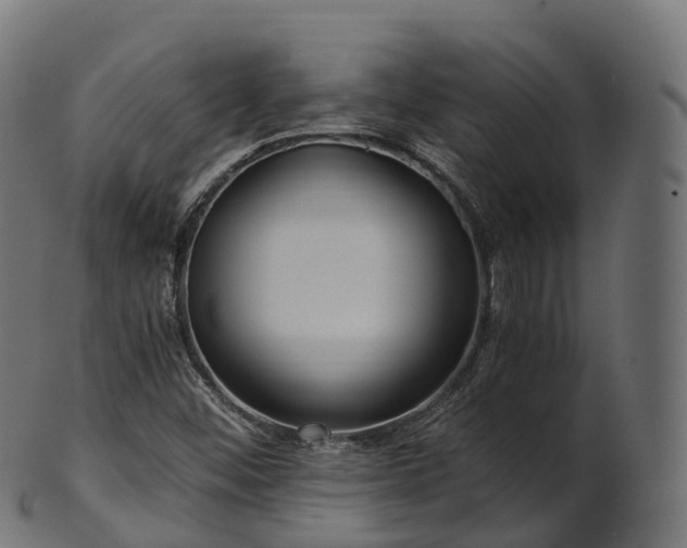 X0000101121452200807031752