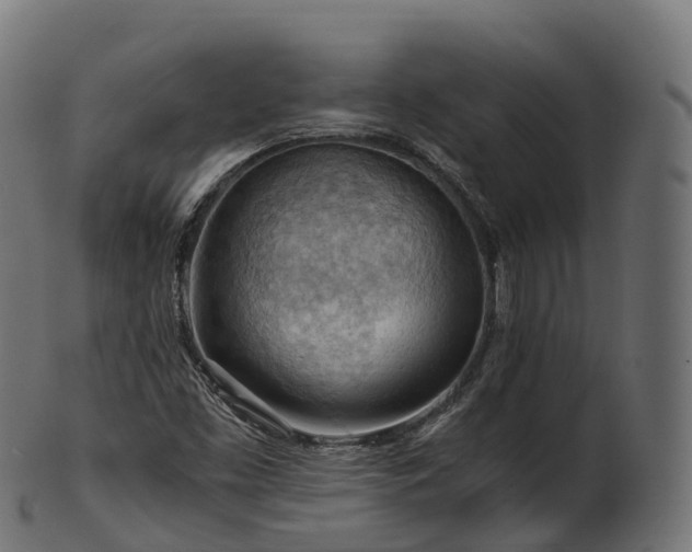 X0000101121453200807031752