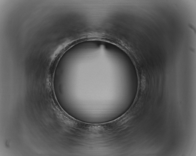 X0000101121454200807031752