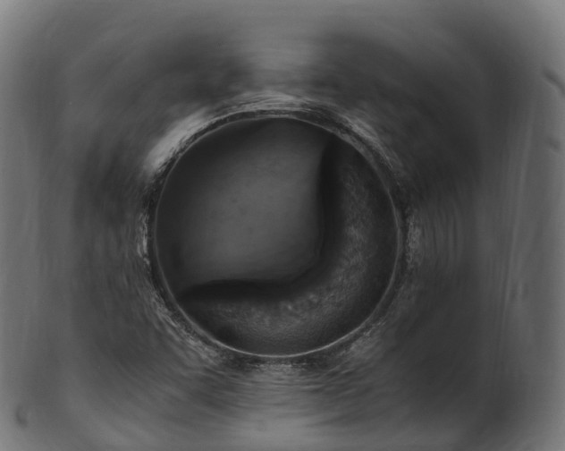 X0000101121455200807031752