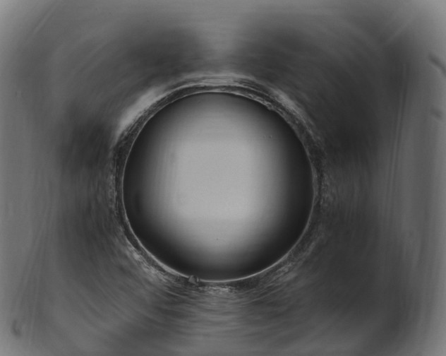 X0000101121456200807031752