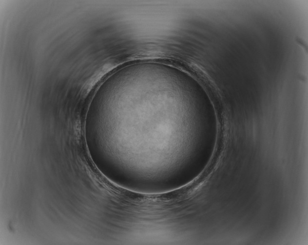 X0000101121457200807031752