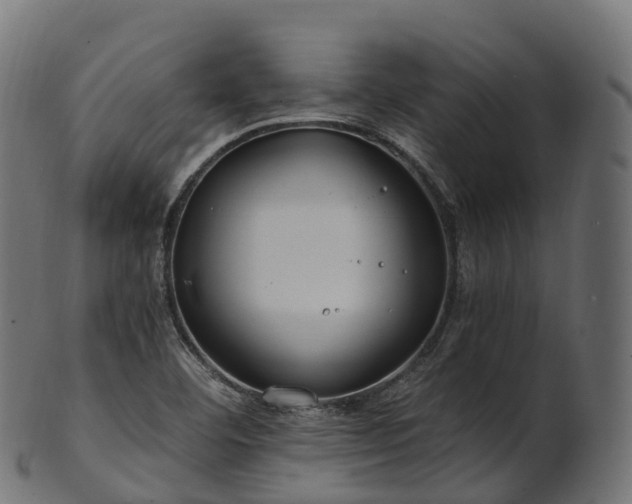 X0000101121460200807031752