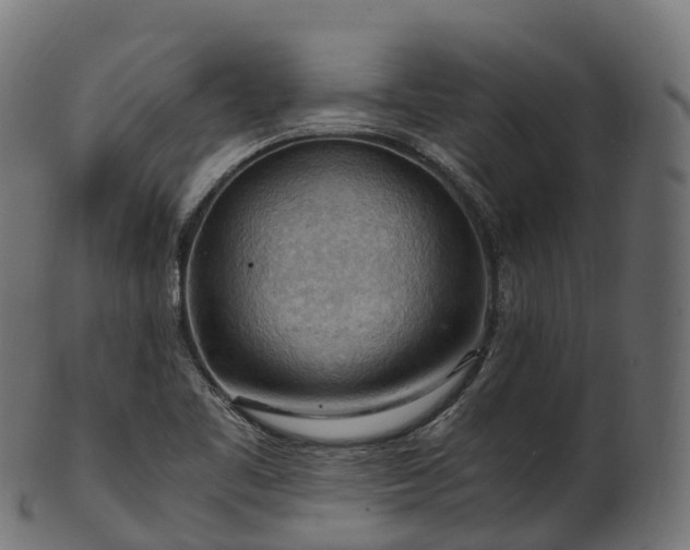 X0000101121461200807031752