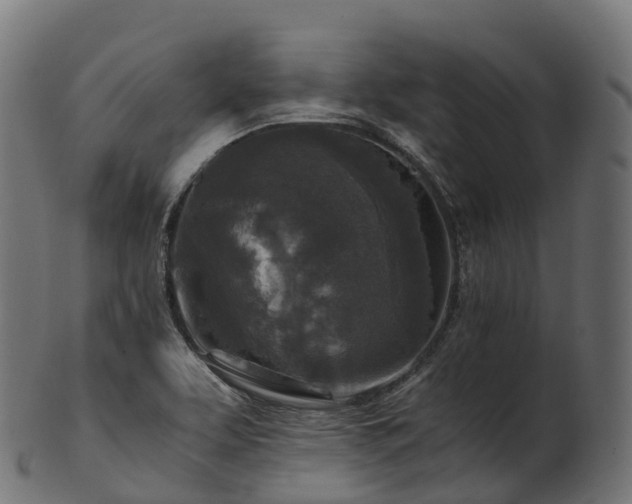 X0000101121463200807031752