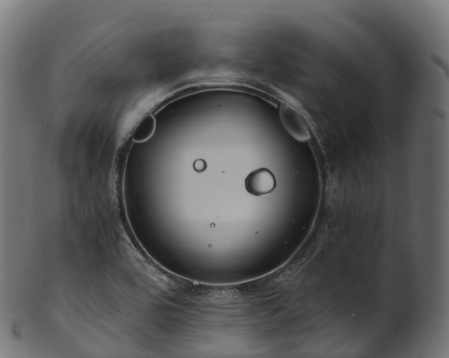 X0000101121464200807031752