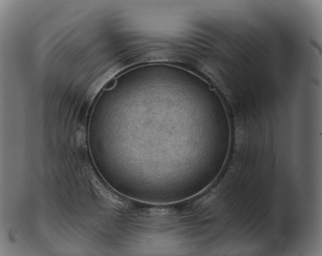 X0000101121465200807031752
