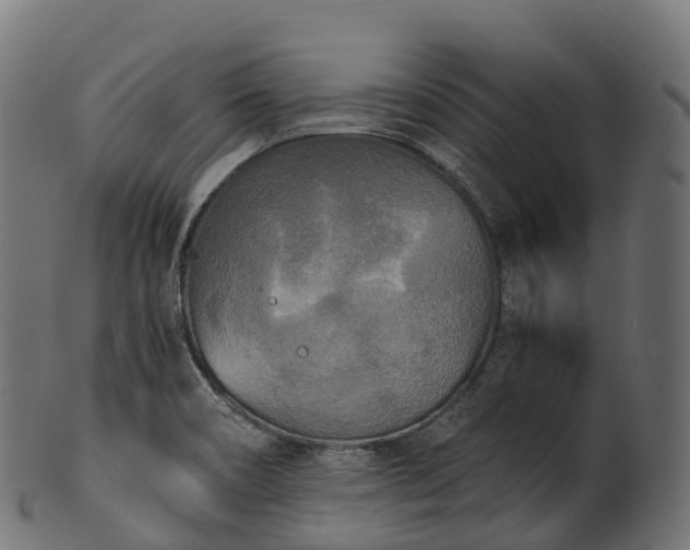 X0000101121466200807031752