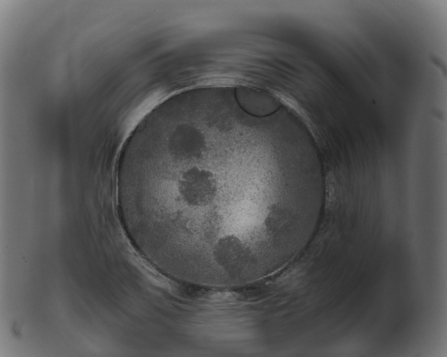 X0000101121467200807031752
