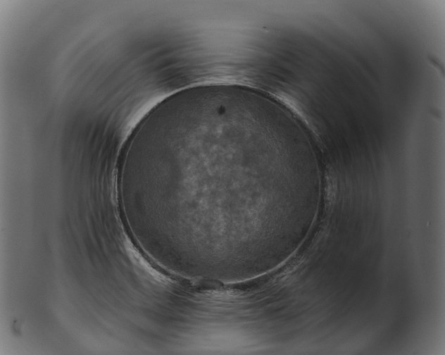 X0000101121468200807031752
