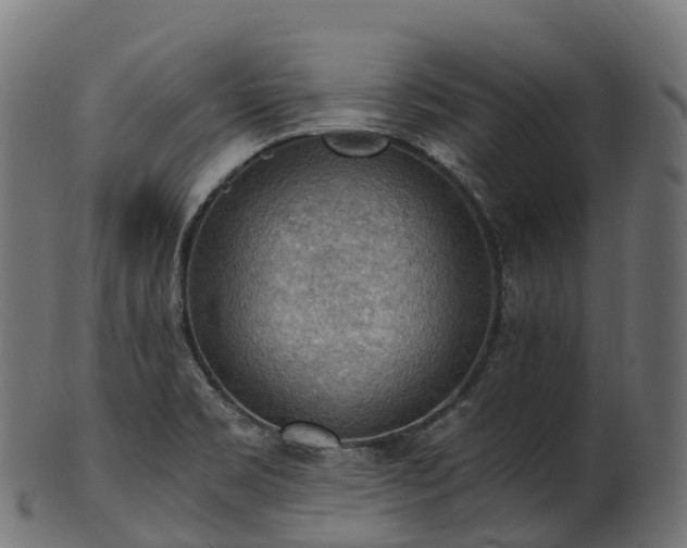 X0000101121469200807031752