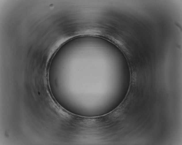 X0000101121470200807031752