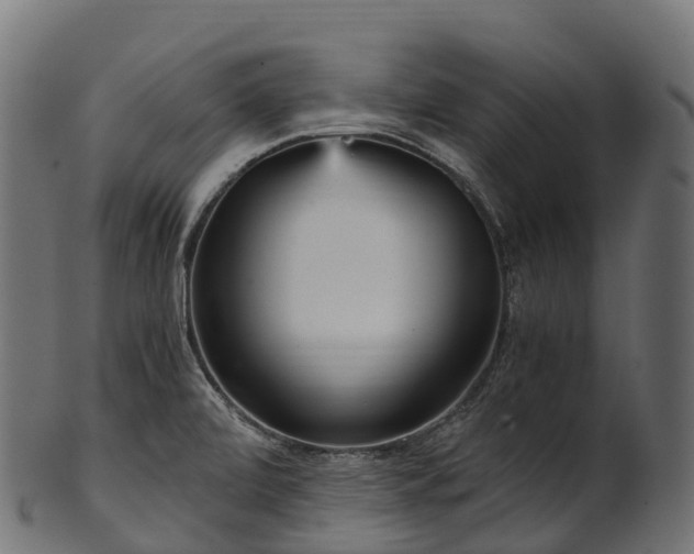X0000101121472200807031752