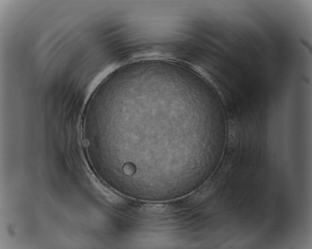 X0000101121474200807031752