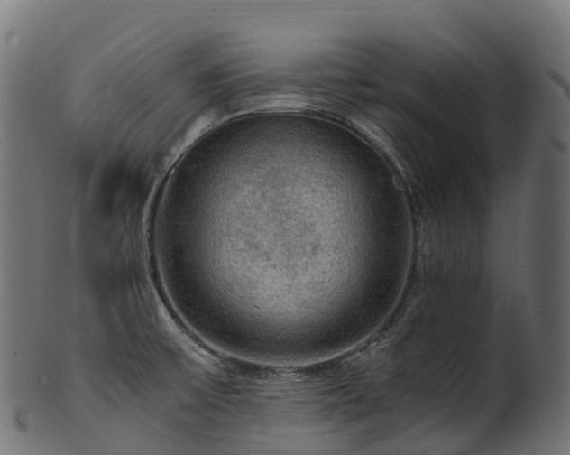 X0000101121475200807031752