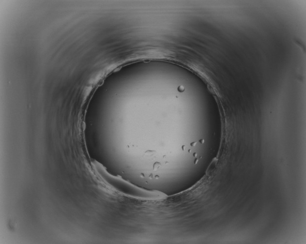 X0000101121477200807031752