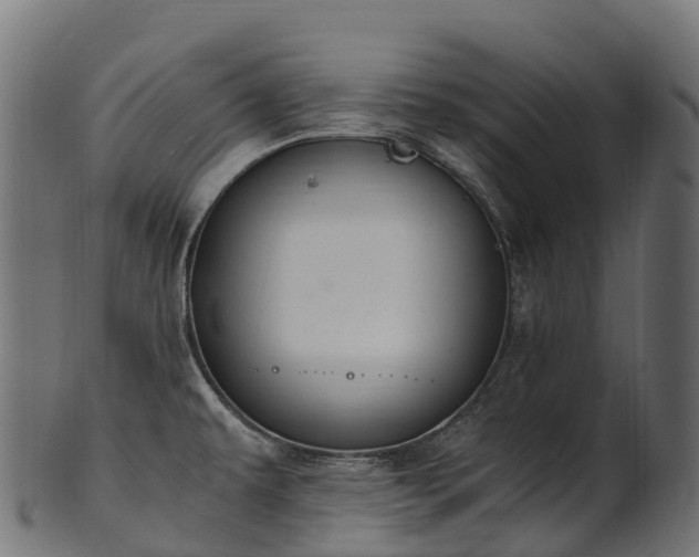 X0000101121479200807031752