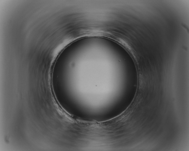 X0000101121480200807031752