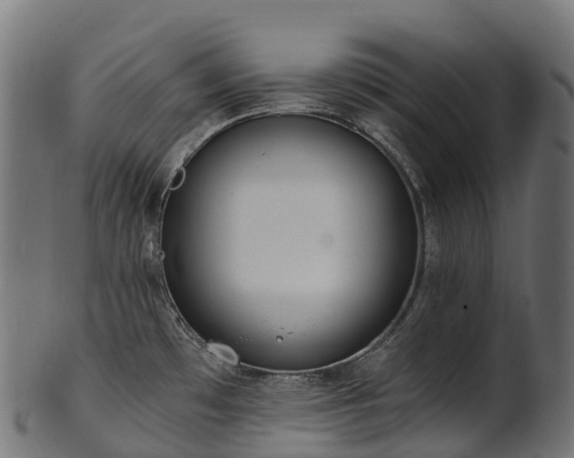 X0000101121481200807031752