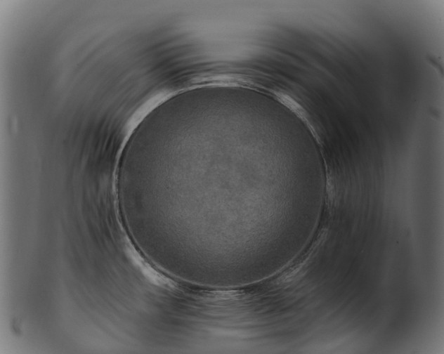 X0000101121482200807031752