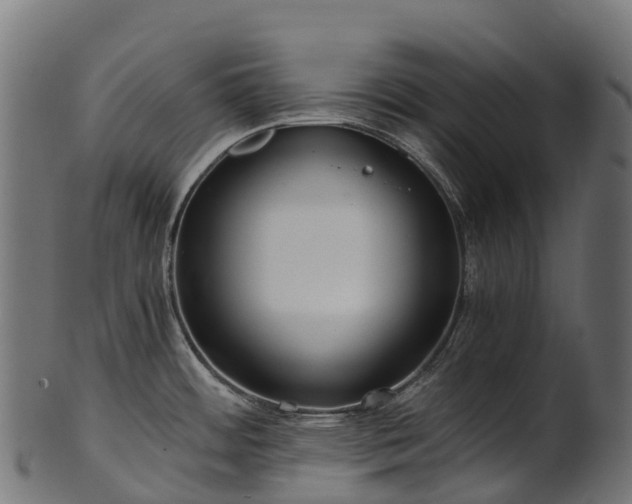 X0000101121484200807031752