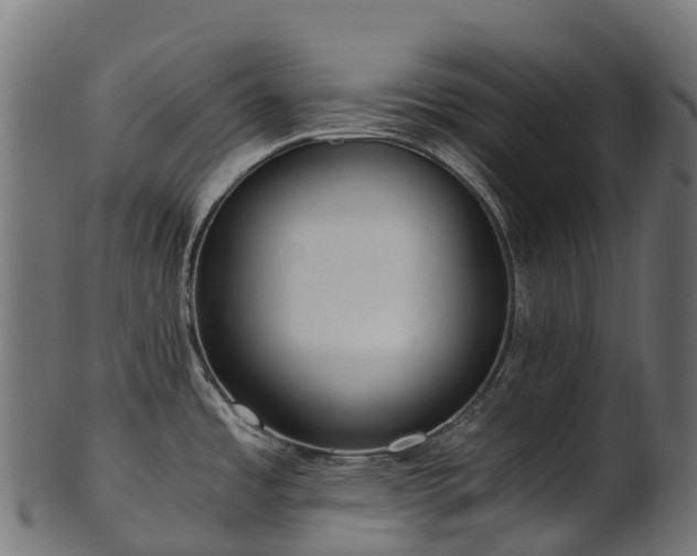 X0000101121485200807031752