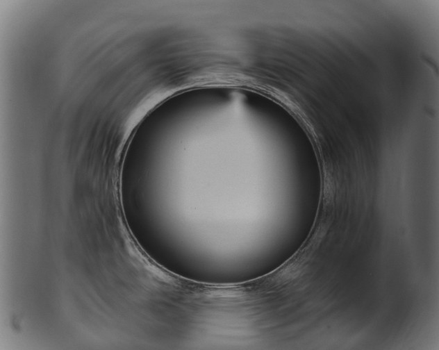 X0000101121486200807031752