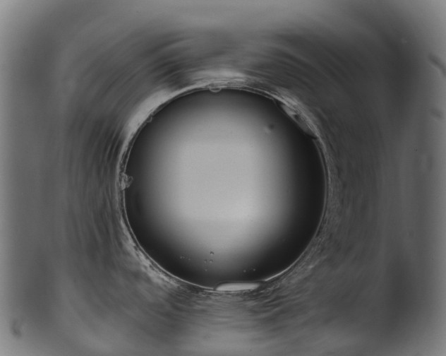 X0000101121488200807031752