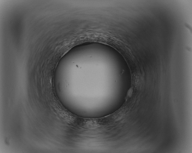 X0000101121489200807031751