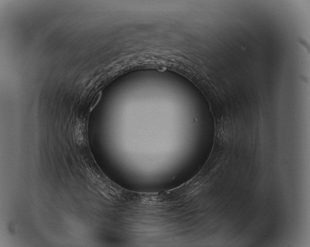 X0000101121490200807031751