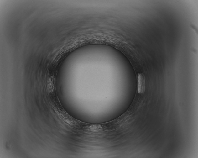 X0000101121491200807031751