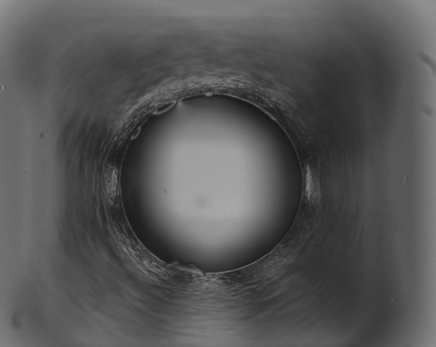 X0000101121492200807031751
