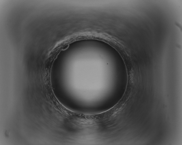 X0000101121494200807031751