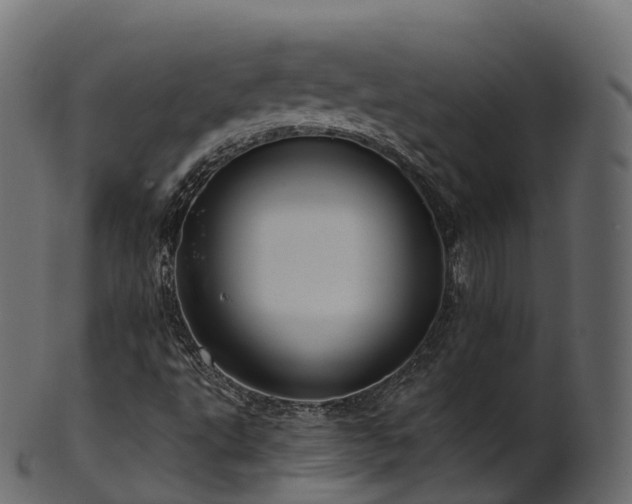 X0000101121495200807031751