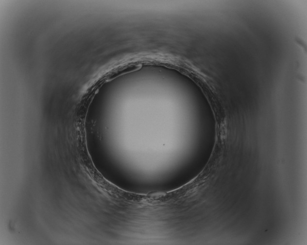 X0000101121496200807031751
