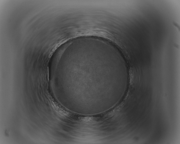 X0000101121497200807031751