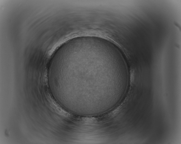 X0000101121498200807031751
