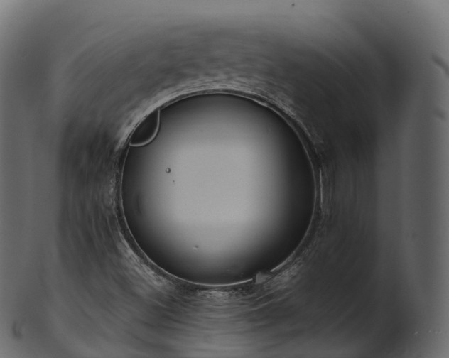 X0000101121500200807031751