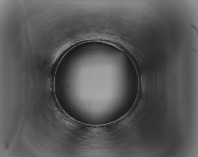 X0000101121501200807031751