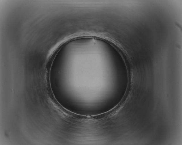 X0000101121502200807031751