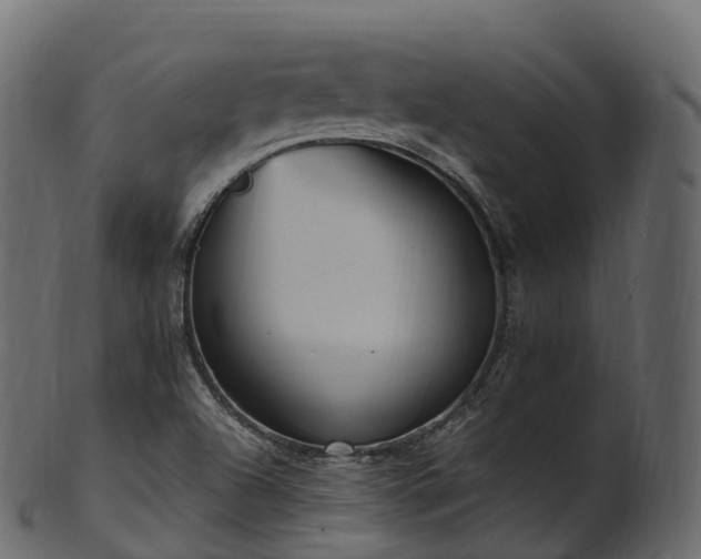 X0000101121504200807031752