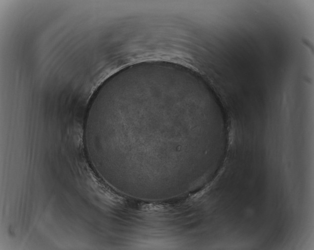 X0000101121505200807031752