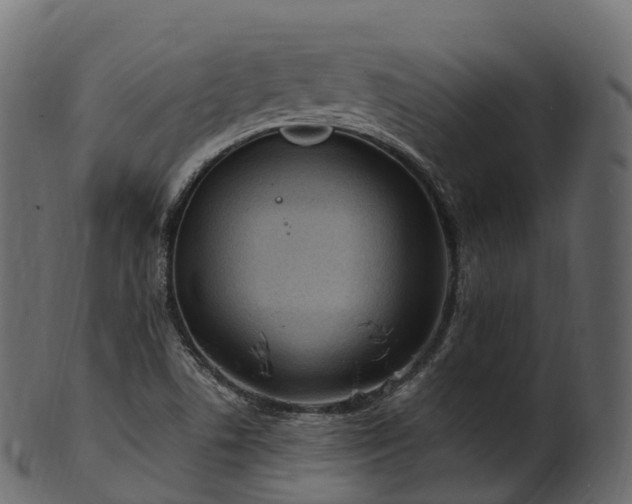 X0000101121506200807031752