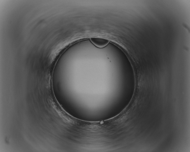X0000101121507200807031752