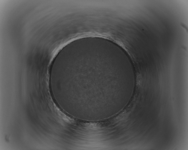 X0000101121508200807031752