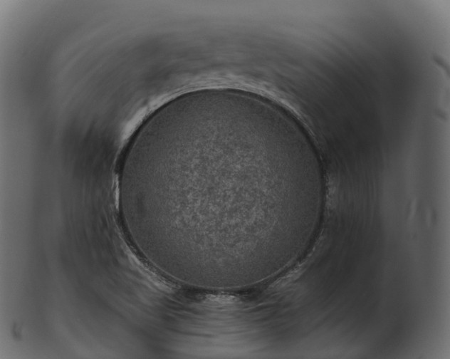 X0000101121509200807031752