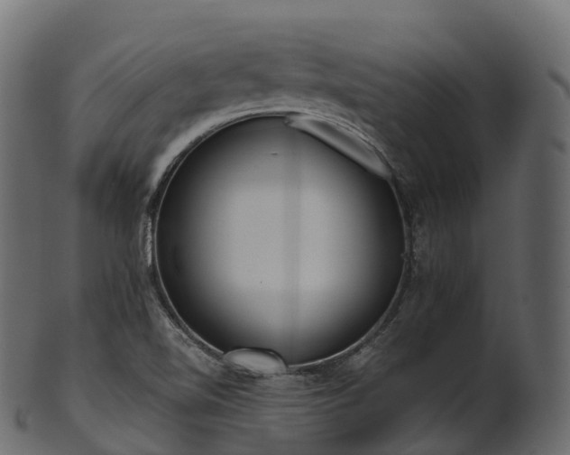 X0000101121510200807031752