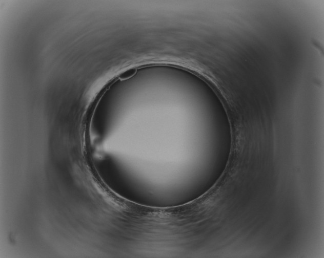 X0000101121511200807031752
