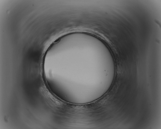 X0000101121512200807031752