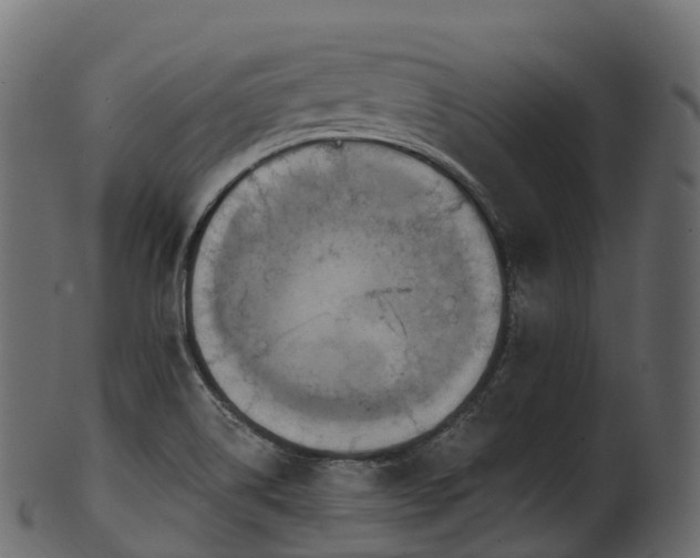 X0000101121514200807031752